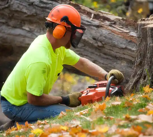 tree services Crystal